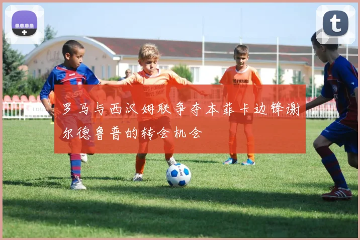罗马与西汉姆联争夺本菲卡边锋谢尔德鲁普的转会机会